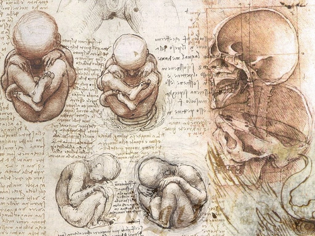 Da Vinci Wallpapers V1.0b By Digitalarts On DeviantArt