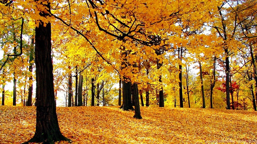 Nature Backgrounds Wallpapers Automotive Lux