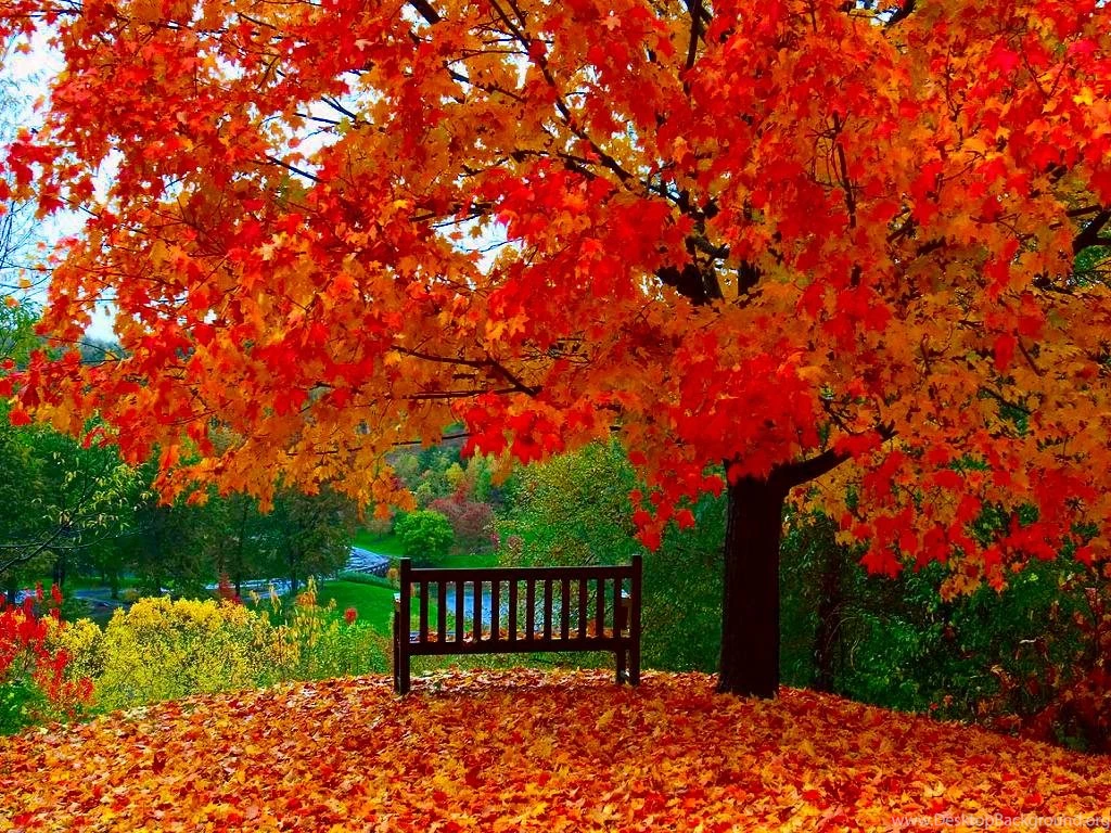 Autumn Wallpapers Free
