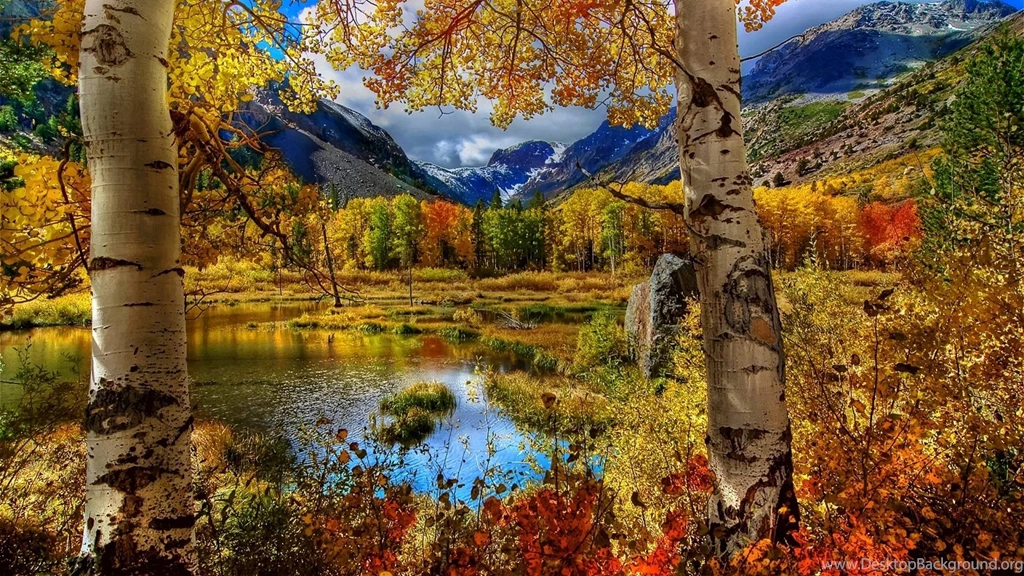 Autumn Backgrounds Desktop