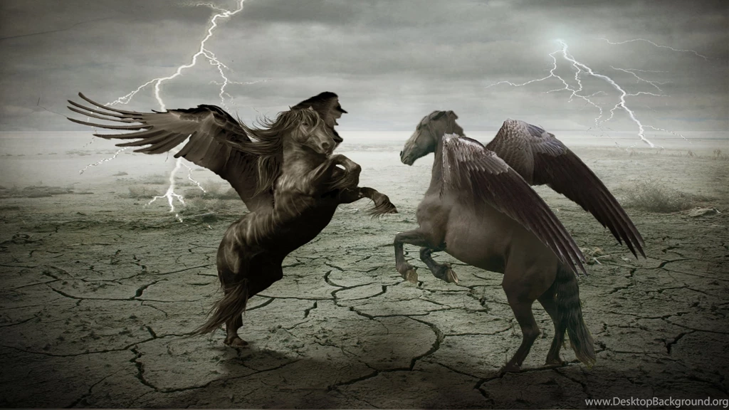 14 Pegasus HD Wallpapers