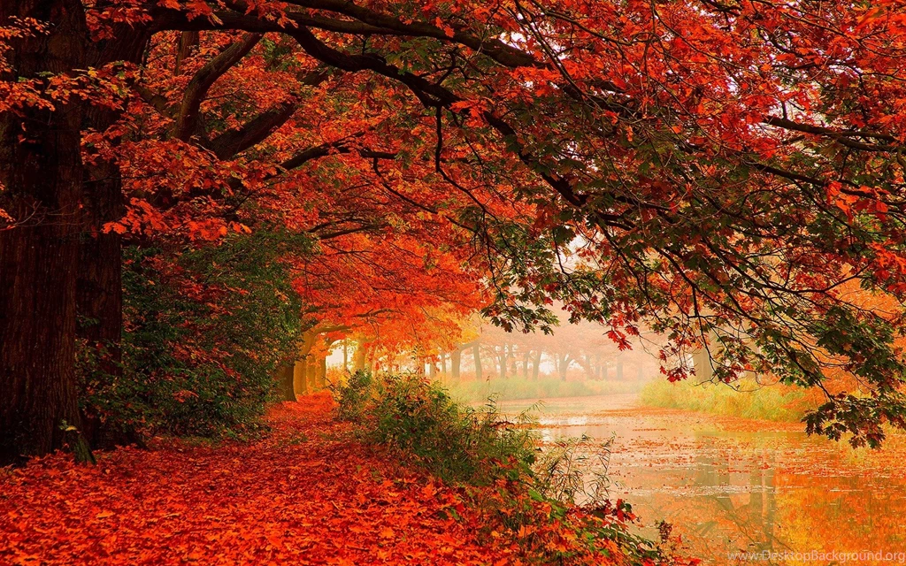 Autumn Wallpapers Free Download AtozWallpapers