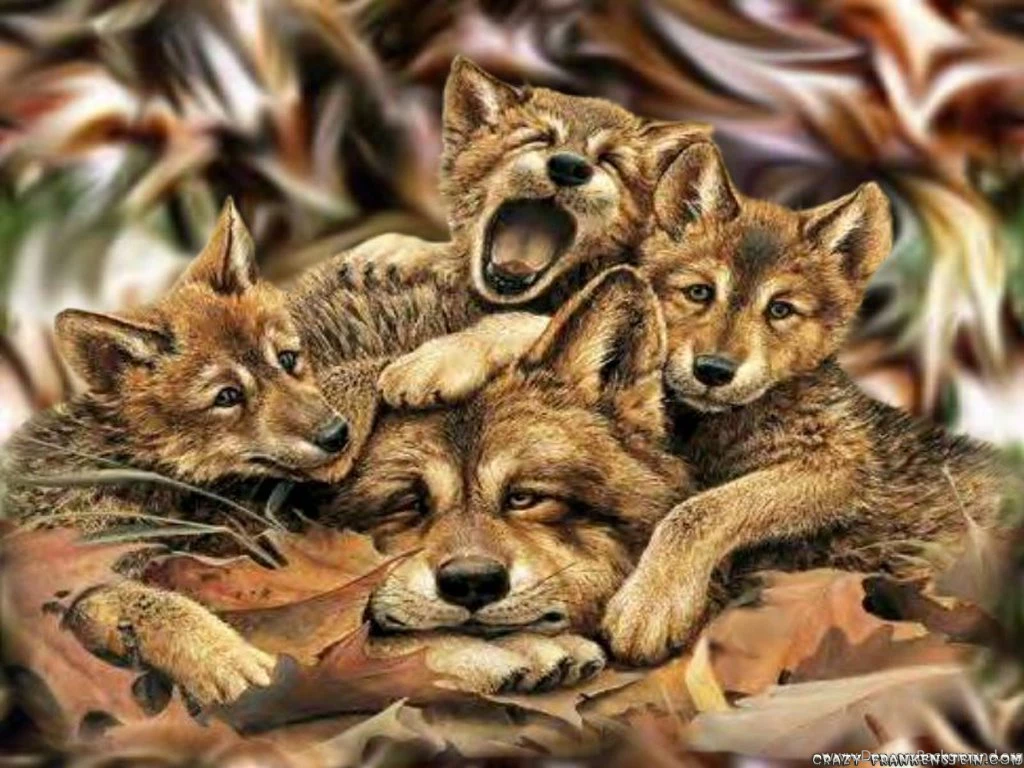 Wallpapers Of Wolves