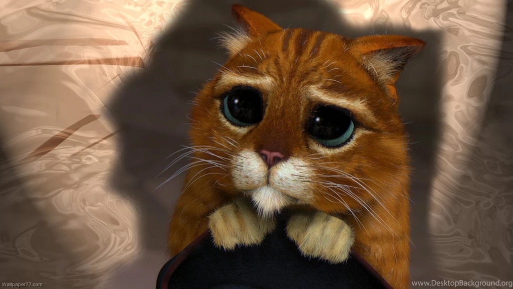 Shrek 2 Cat, 1366x768 Pixels : Wallpapers Tagged Fun Wallpapers ...