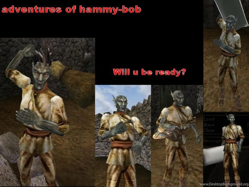 Wallpapers Image The Adventures Of Hammy bob Mod For Morrowind ...