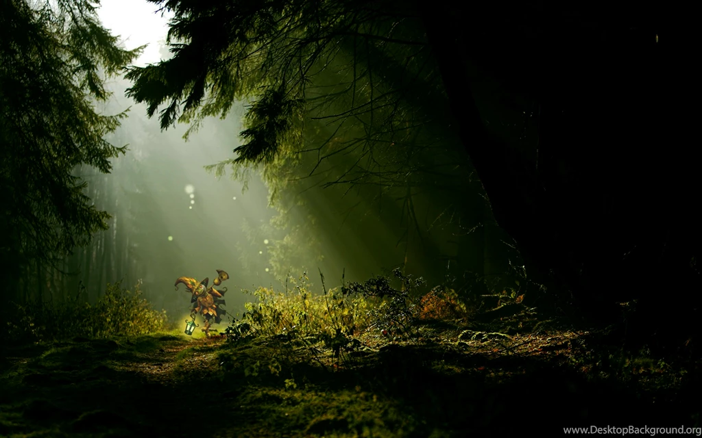 Night Forest Animals