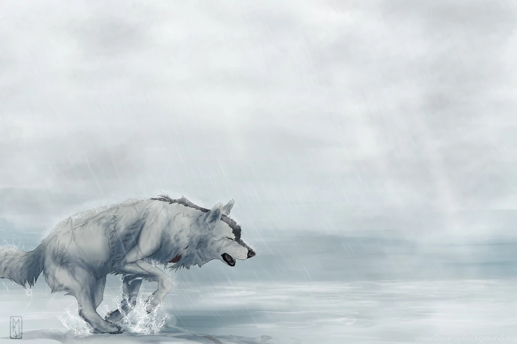Cool Animated Wolf Wallpapers