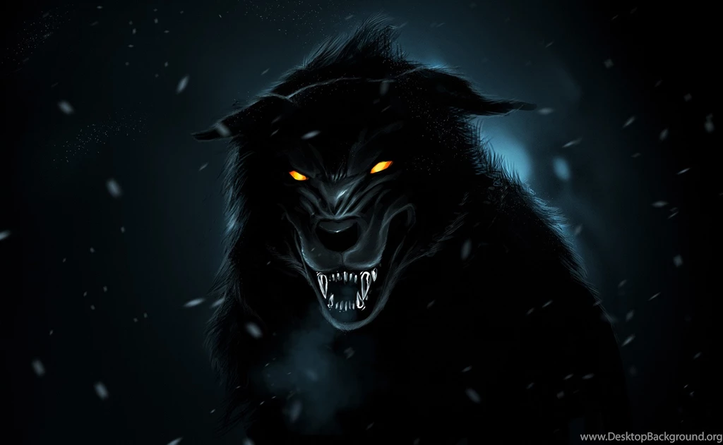Black Wolf Wallpapers HD