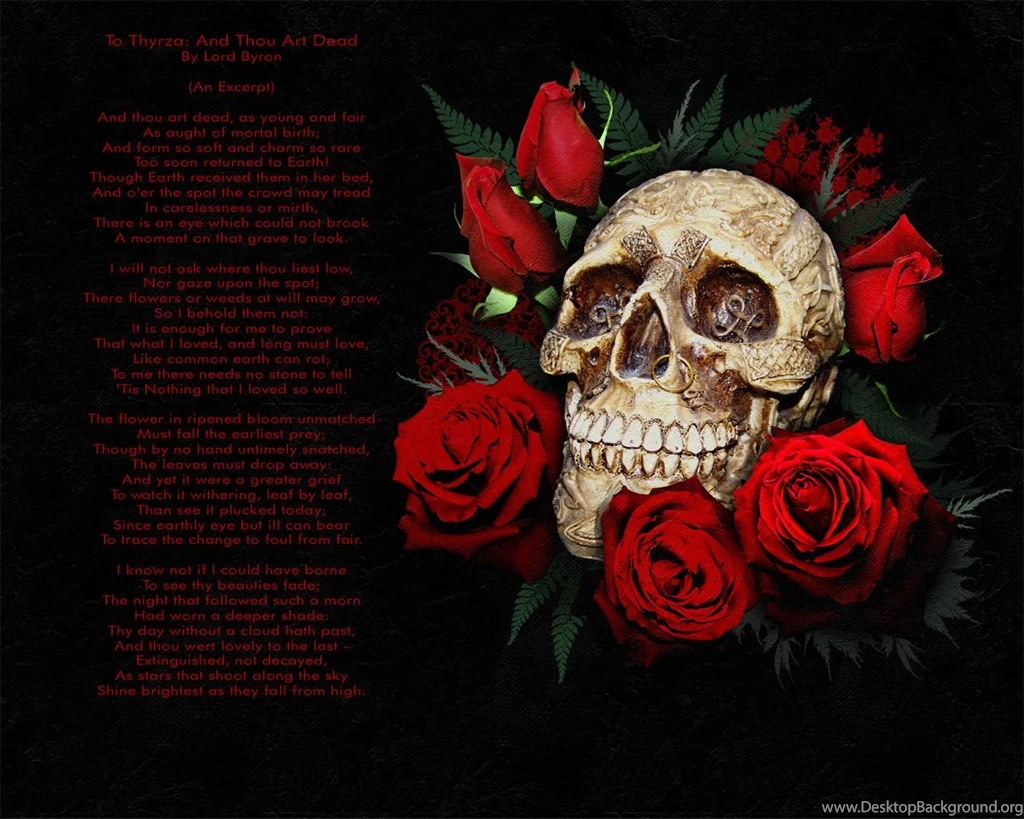 Wallpapers Of Skulls Wallpapers Cave