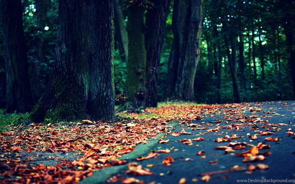 Cool Wallpapers Wallpapers High Definition Fullwidehd.com