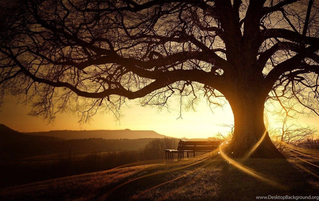 Scenery Backgrounds