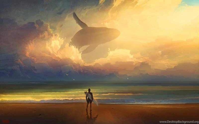 Whale Beach Shore Person Surfer Surf Ocean Drawing HD Wallpapers ...