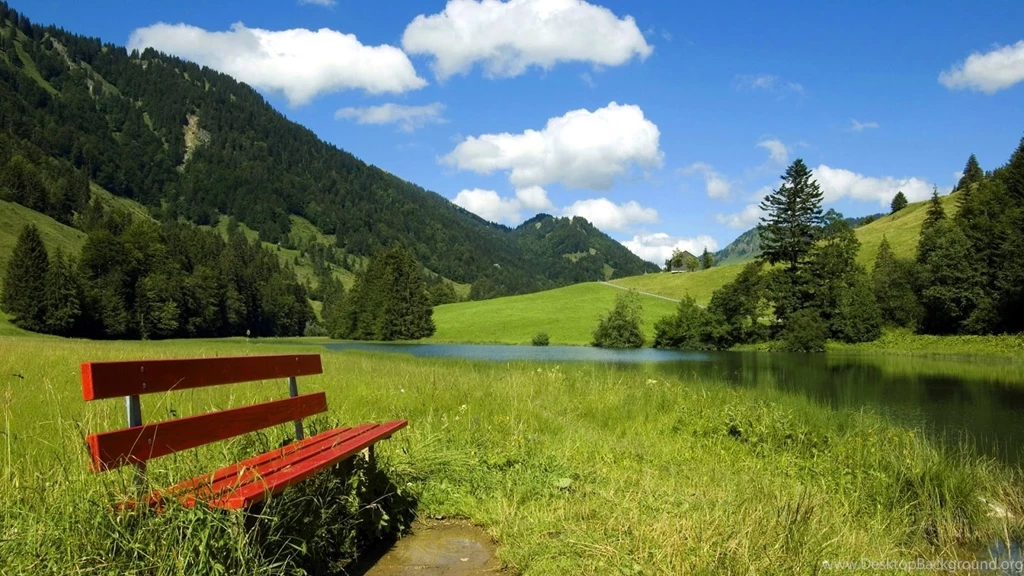 Attractive Free Nature Wallpapers HD
