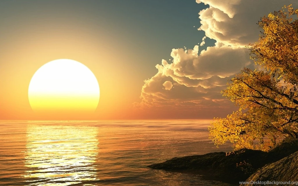 Morning Sun HD Wallpapers