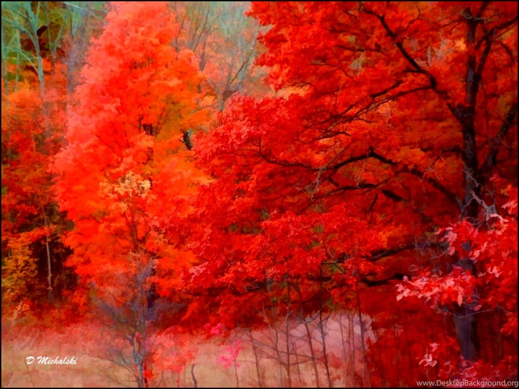 Free Fall Computer Wallpapers   5 Items