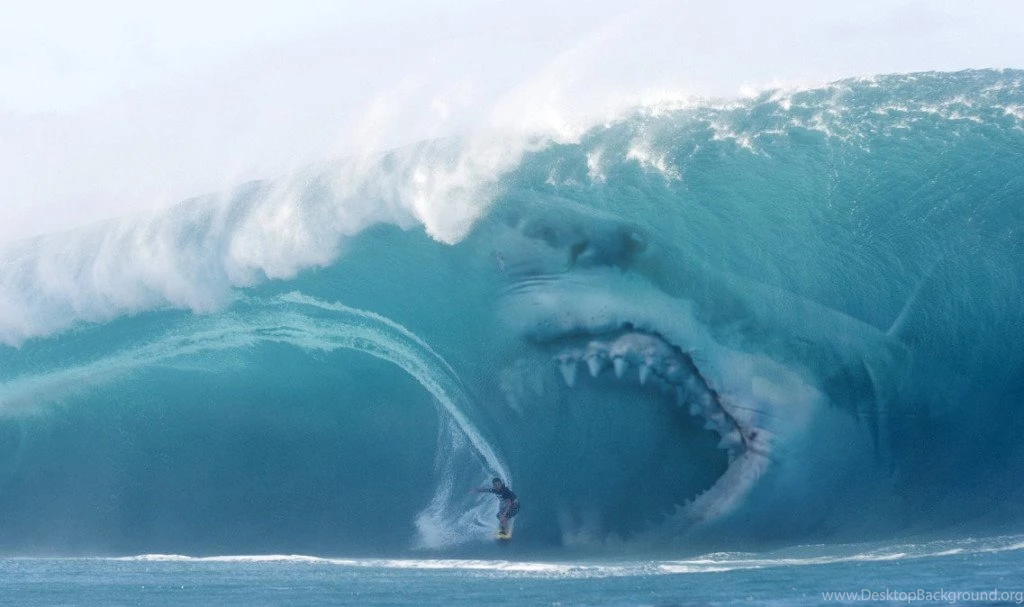 Amateur Friday – TIME SHARK!!!