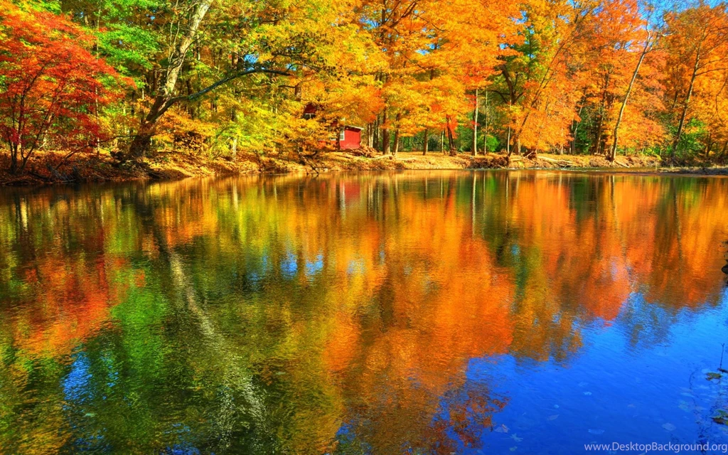 Lakes: Autumn Reflections Forest Lake Colors Water Fall Trees ...