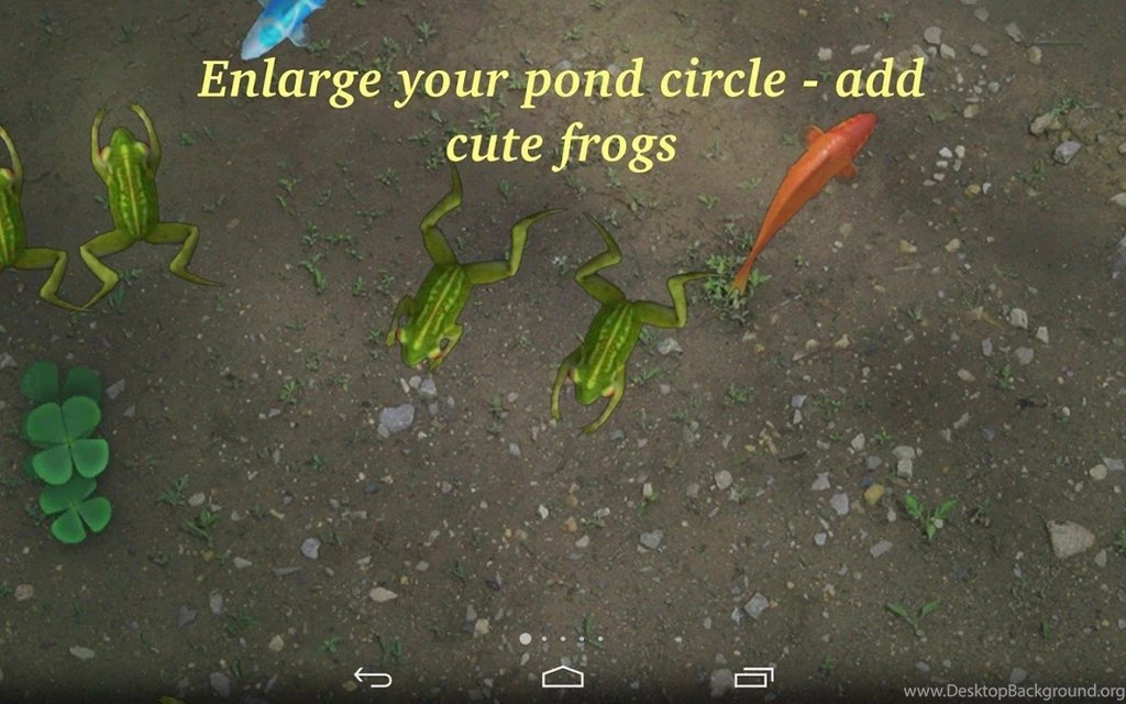 Download Water Pool Live Wallpapers Android App: Install Latest ...