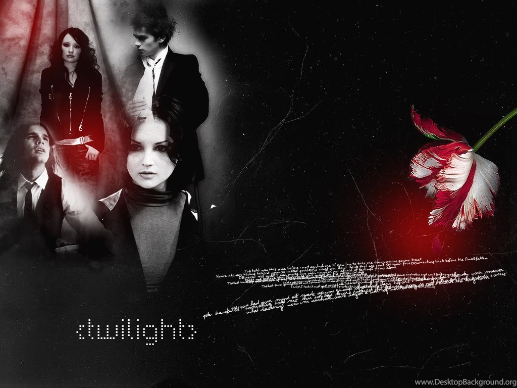 Wallpapers Alice Cullen Isabella Swan Edward Jacob Black 1024x768 ...