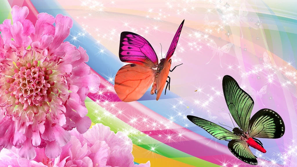 Images Of Flowers And Butterflies