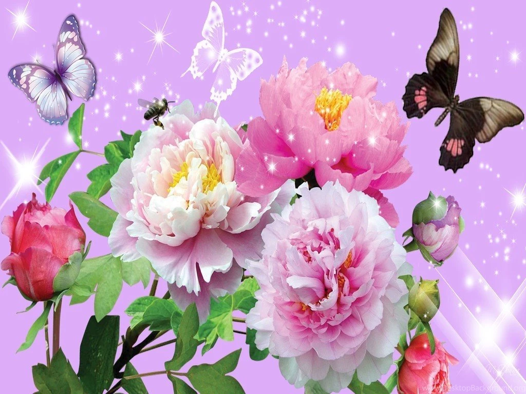 Images Of Flowers And Butterflies