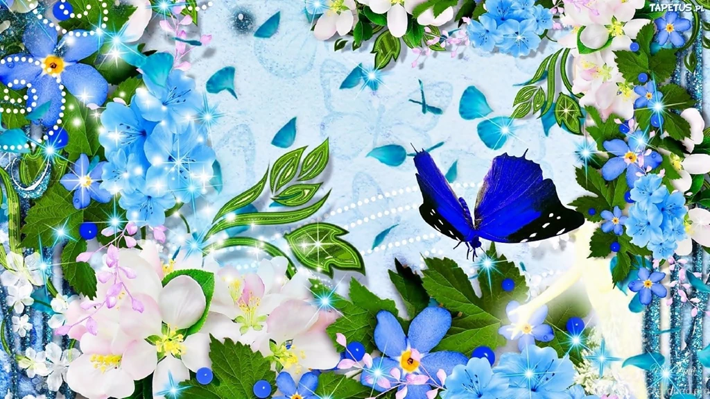 Flowers And A Butterfly Wallpaper_other_health Questions,pictures ...