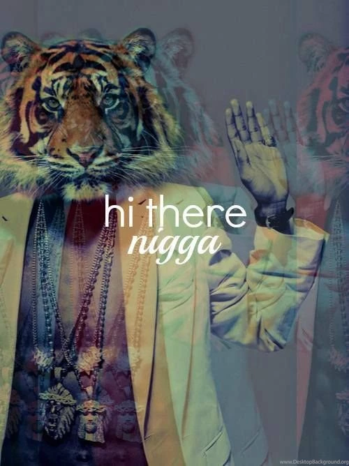 Hi There Nigga