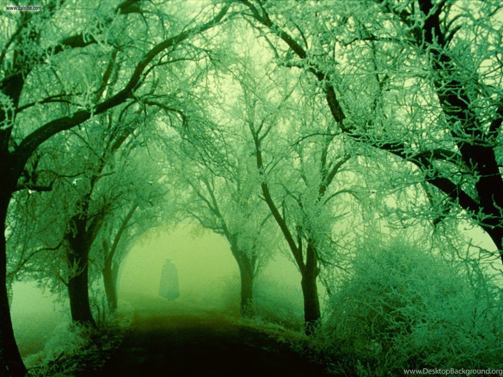 Nature: Haunted Trail, Picture Nr. 21406