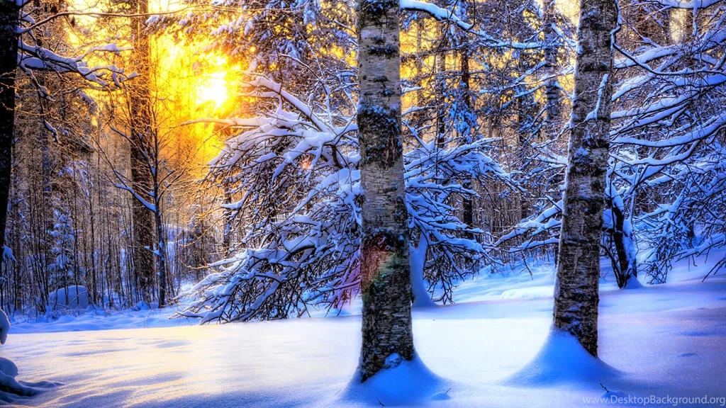 Free Widescreen Winter Wallpapers (11) Free Wall Paper