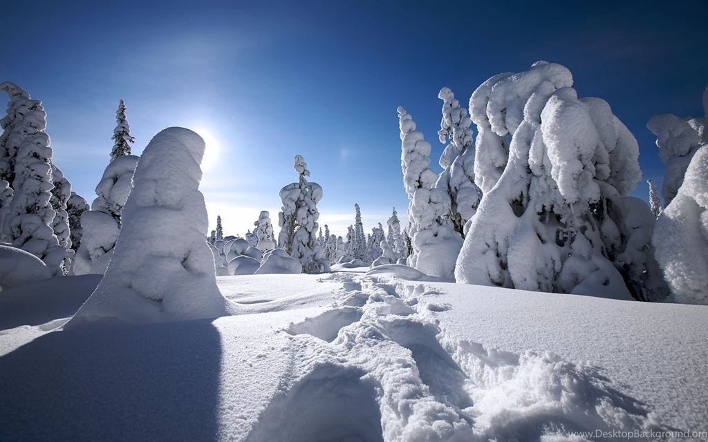 Winter Wallpapers 5