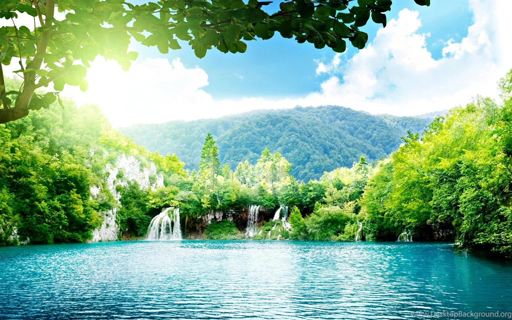 Landscape Of The Wood HD Desktop Wallpapers