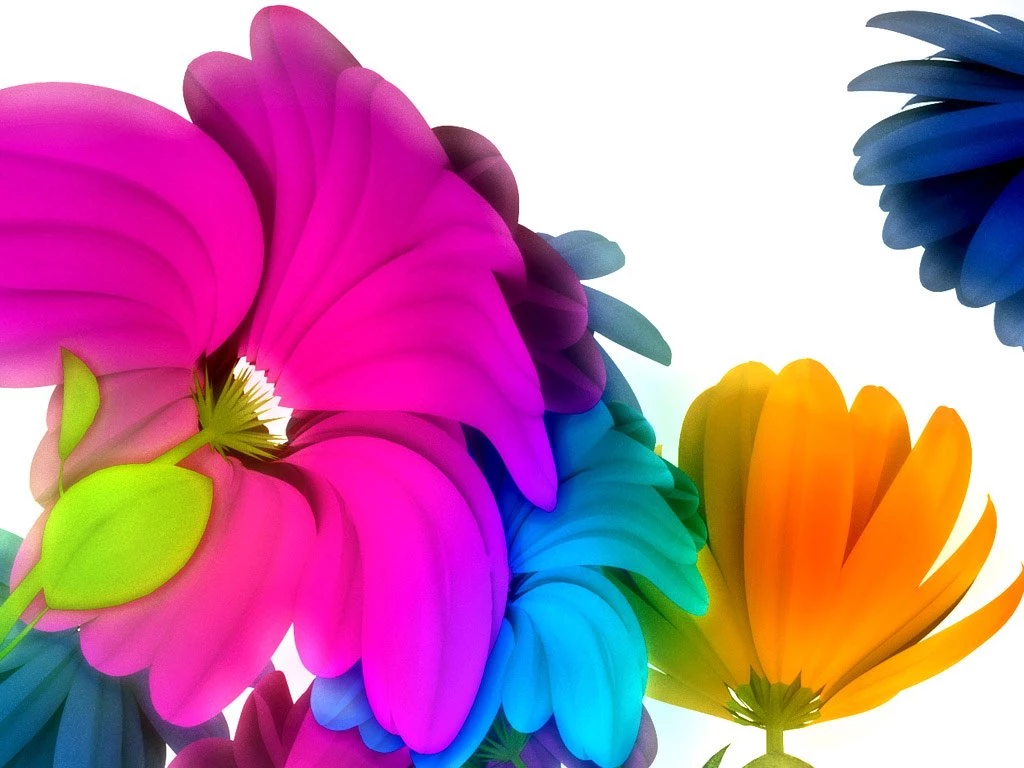 Rainbow Flowers Wallpapers