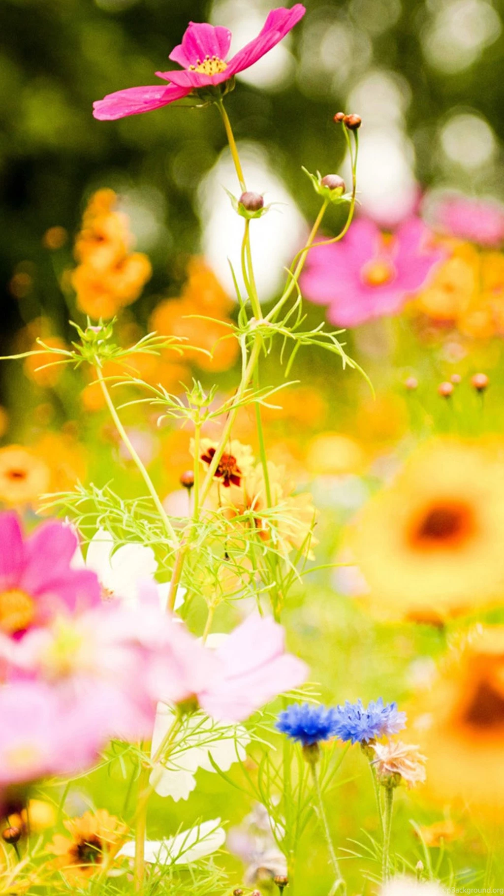 Galaxy S4 Wallpapers HD, Samsung Galaxy S4 Wallpapers, Galaxy ...