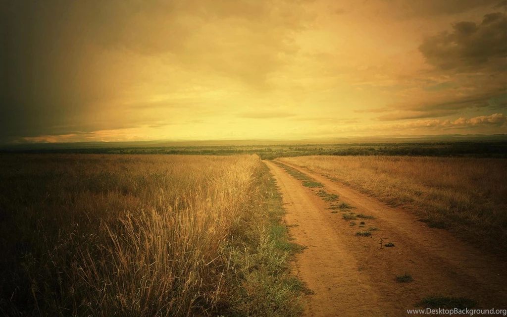 Old Fashioned Field (