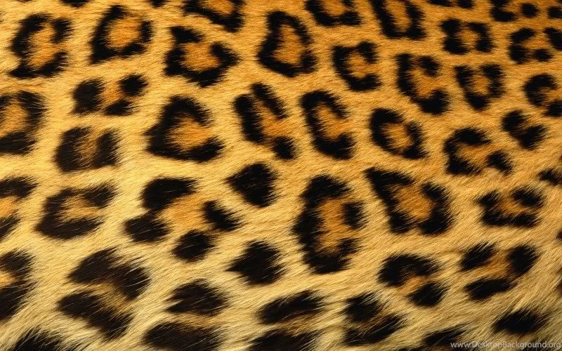 Cheetah skin pattern backgrounds pi.jpg Photo By Waitsman ...