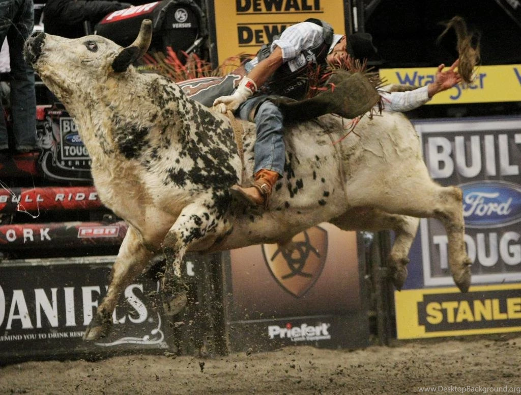 Bull Riding Wallpapers   Wallpapers Cave