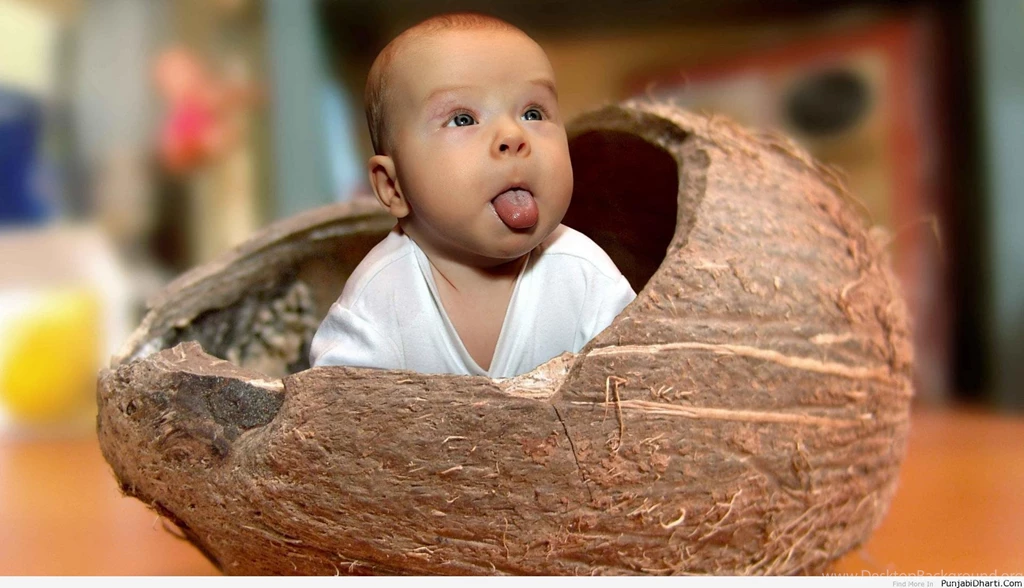 Funny Wallpapers For Facebook