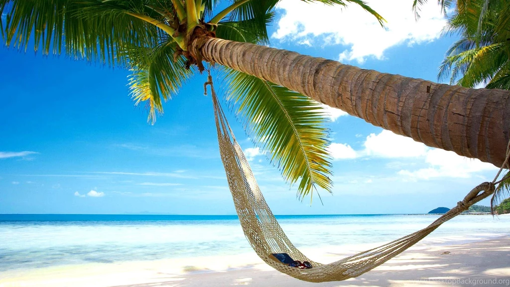 Beaches, Coconut Trees, Hammocks, Blue Sea Sky Scenery >> HD ...