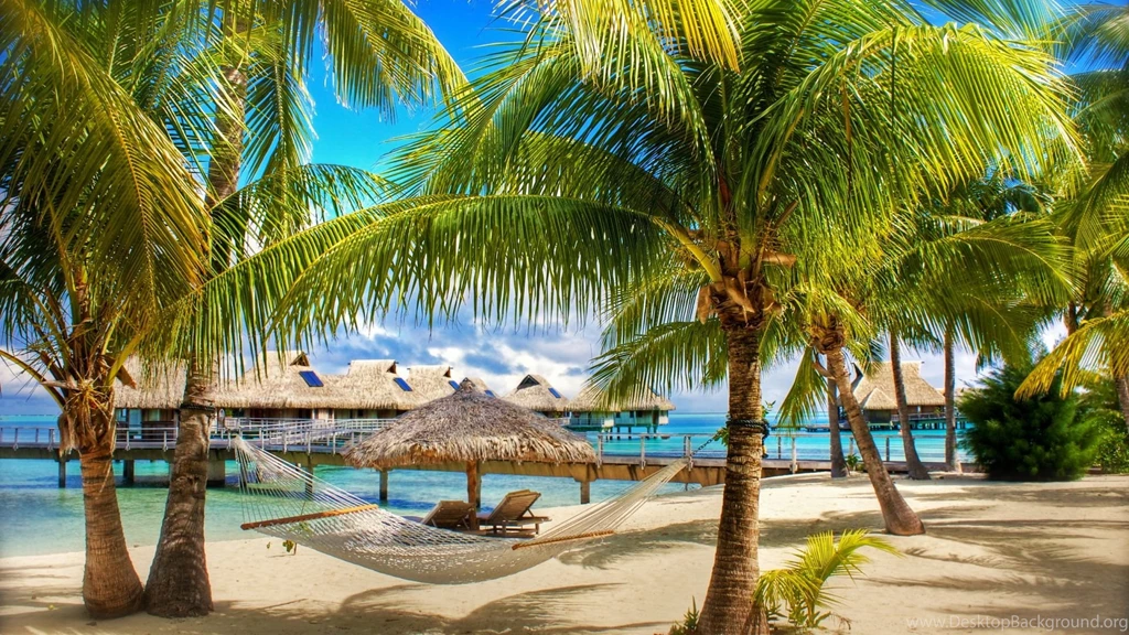 Coconut Tree On Beach Wallpapers