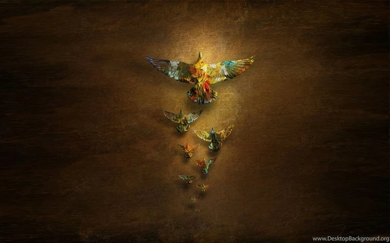 Artistic,minimalistic Minimalistic Artistic Colorful Birds ...