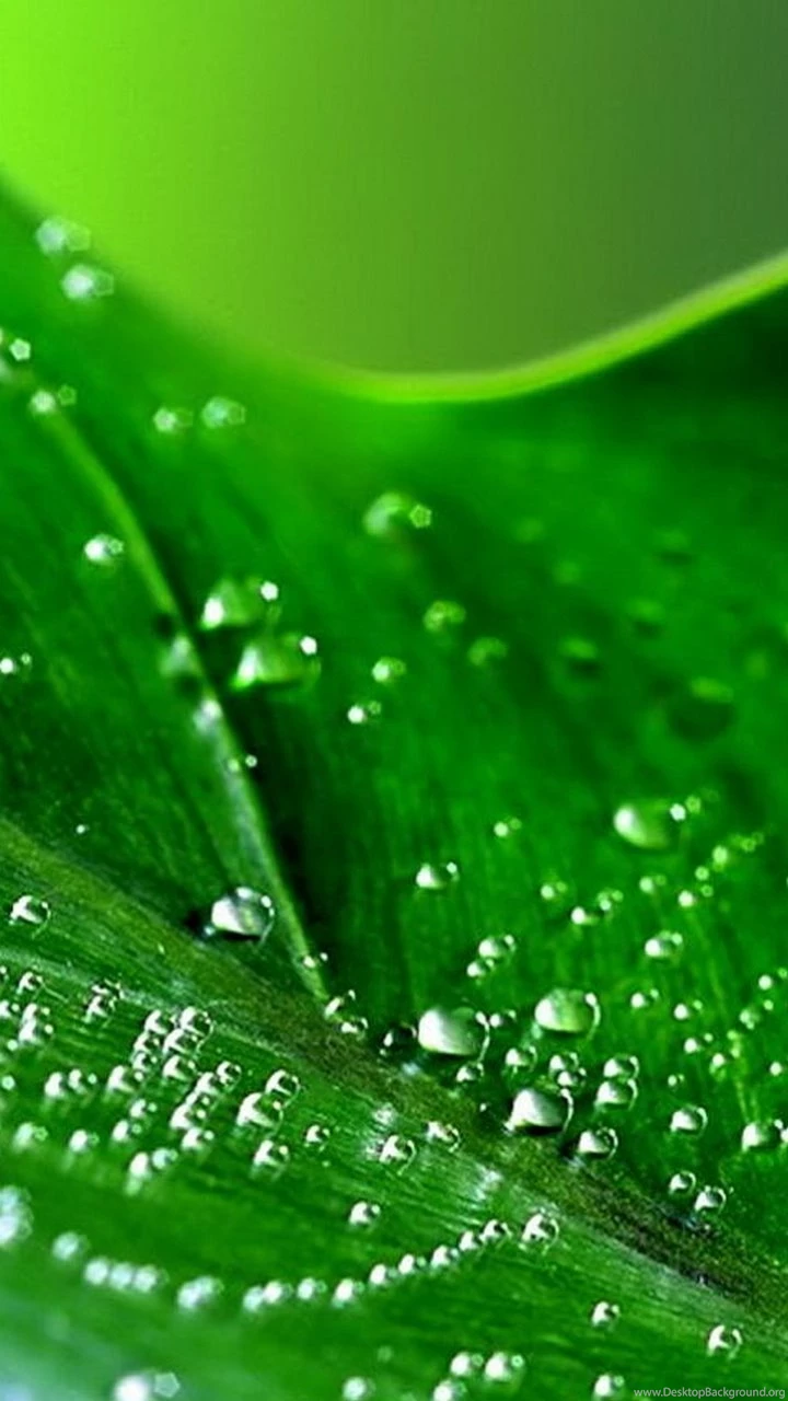 Nature Wallpapers Samsung