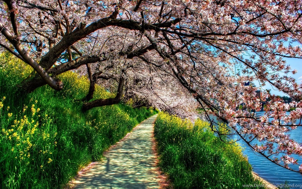 Widescreen Spring Wallpapers Desktop For Desktop Uncalke.com