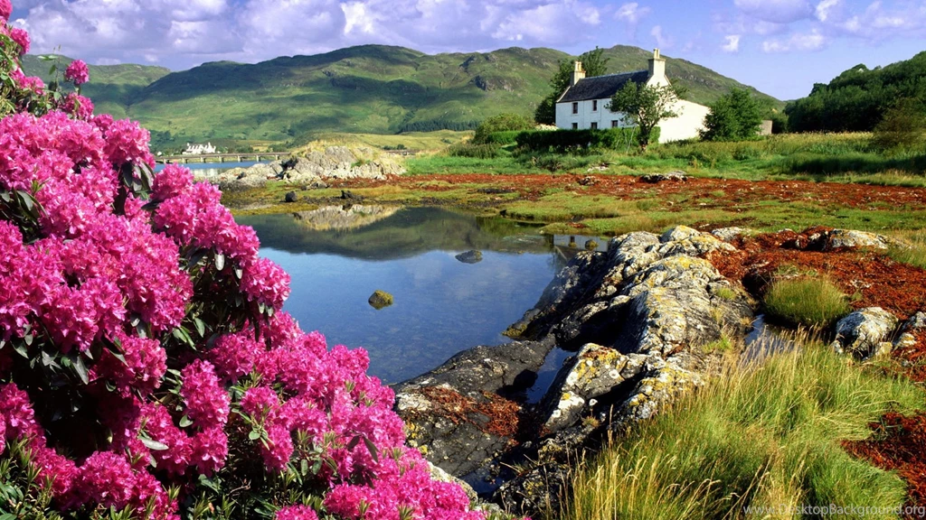 Spring Landscape Picture Wallpaper, High Definition, High ...