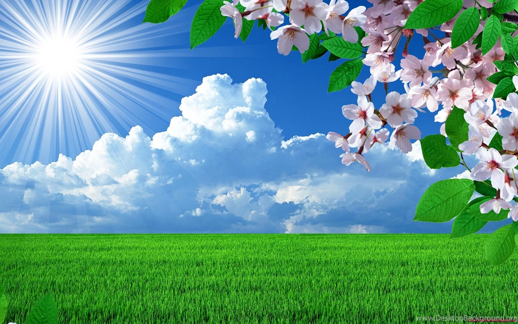 Nature Wallpaper: Summer Nature Android Wallpapers For HD ...