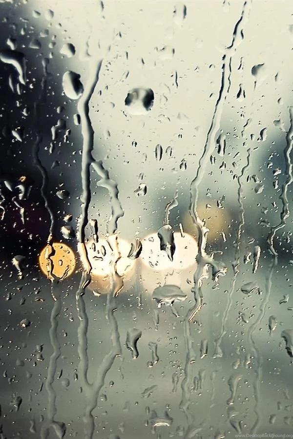 Wallpapers Phone