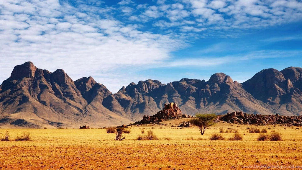 Hd 95969 Stunning Safari Wallpapers Landcapes HD Wallpapers ...