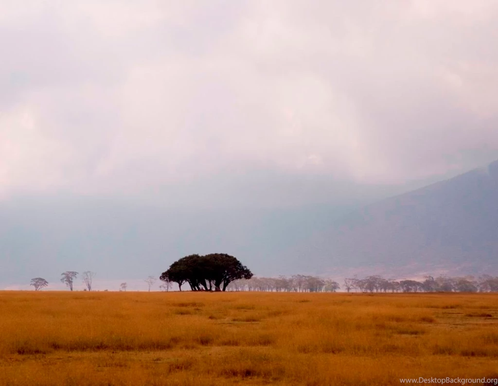 Eastern Circuit The Classic Tours And Safari