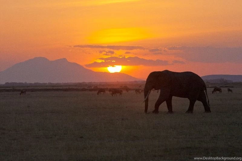 Tanzania Safari Adventure   Wilderness Inquiry