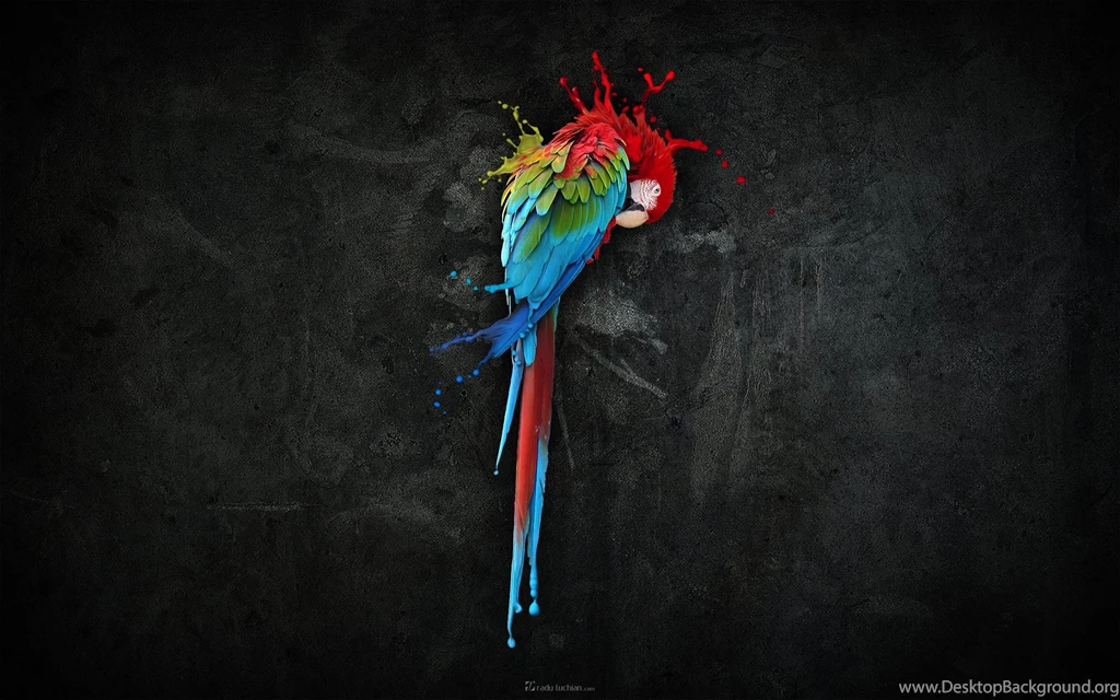 Black Color Wallpapers Wallpapers Zone