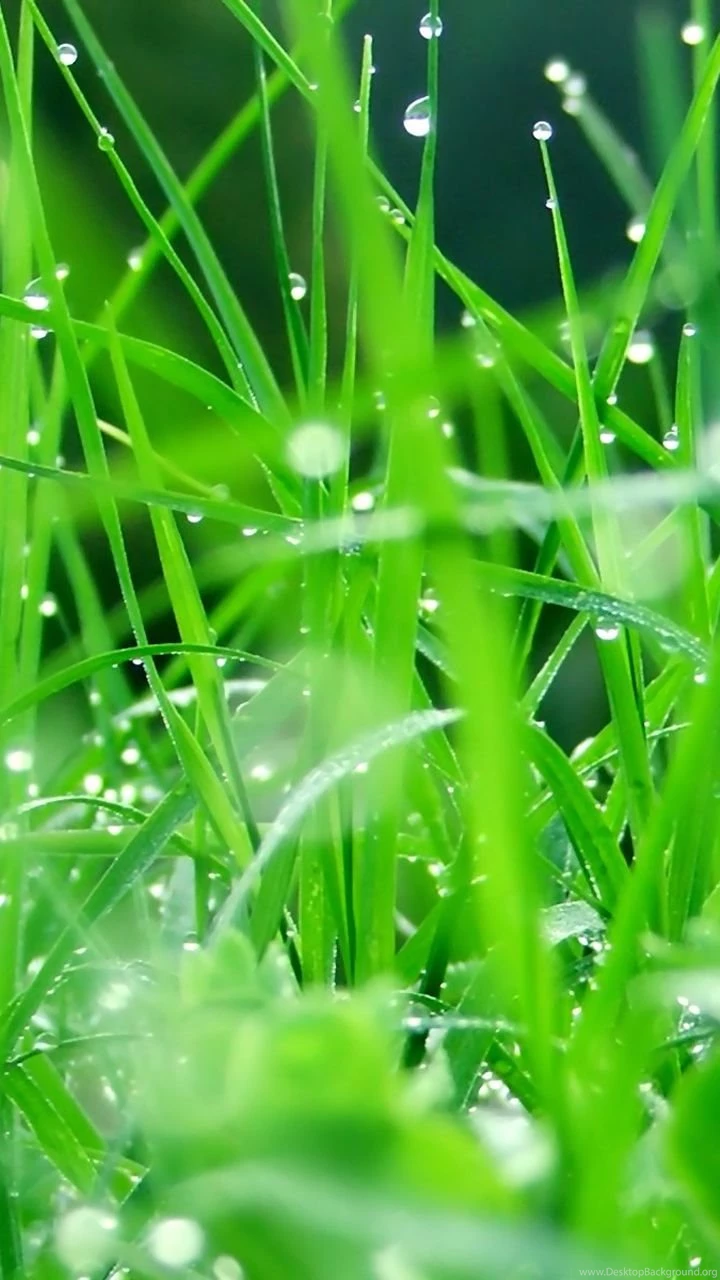 Samsung Galaxy S3 Wallpapers Http://hdwallpapers.omew.net/2012/06 ...